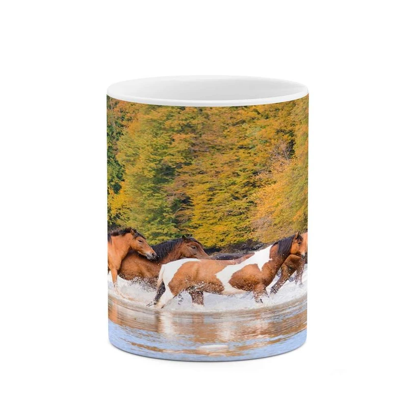 ماگ کاکتی مدل اسب کد mgh24054