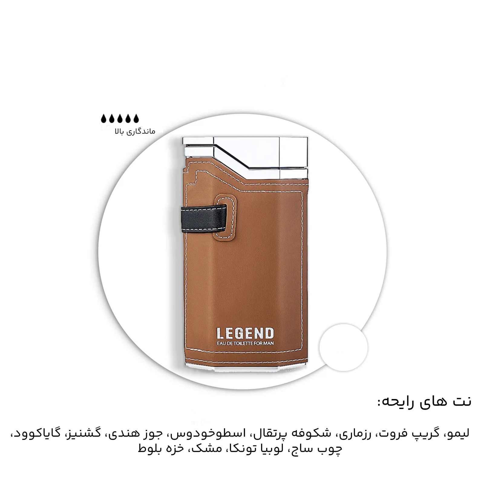 ادو تویلت مردانه عماد آرا مدل Legend حجم 100 میلی لیتر -  - 11