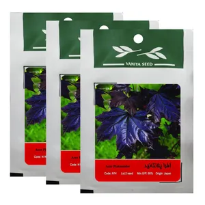 بذر بنسای افرا پلانتانید وانیا سید کد N14 مجموعه 3 عددی 