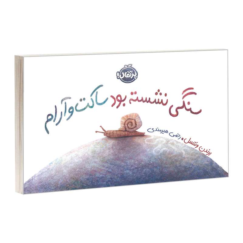 کتاب سنگی نشسته بود ساکت و آرام اثر برندن ونتسل انتشارات پرتقال