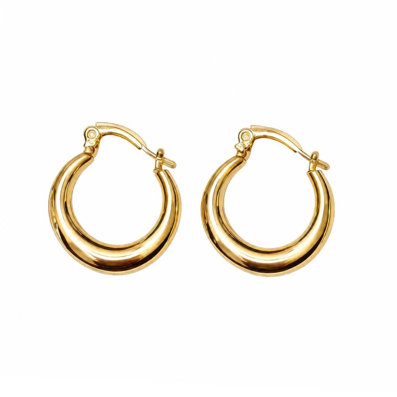 گوشواره اکسسورایز حلقه ای زنانه کد 001