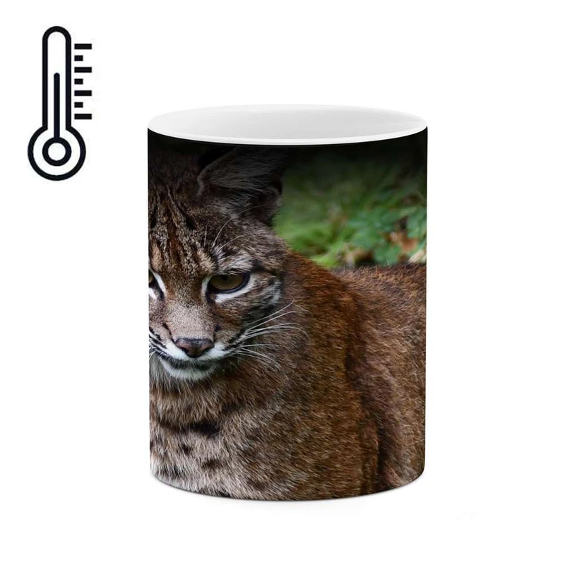 ماگ حرارتی کاکتی مدل گربه کد mgh17443