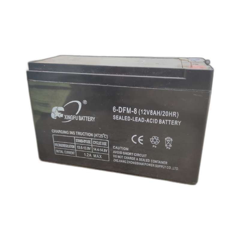 باتری سمپاش قابل شارژ مدل ch9