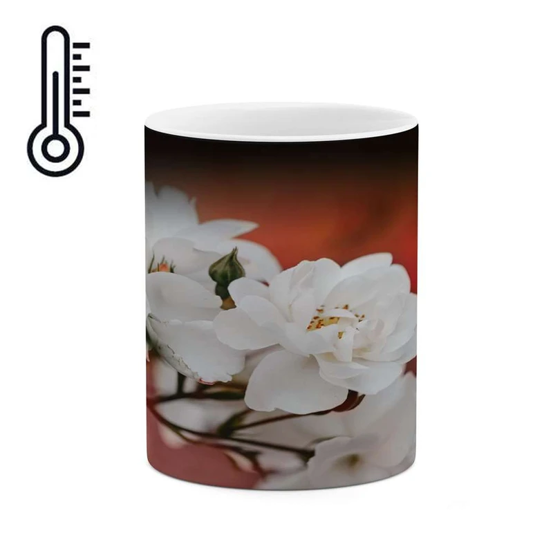 ماگ حرارتی کاکتی مدل گل کد mgh16894