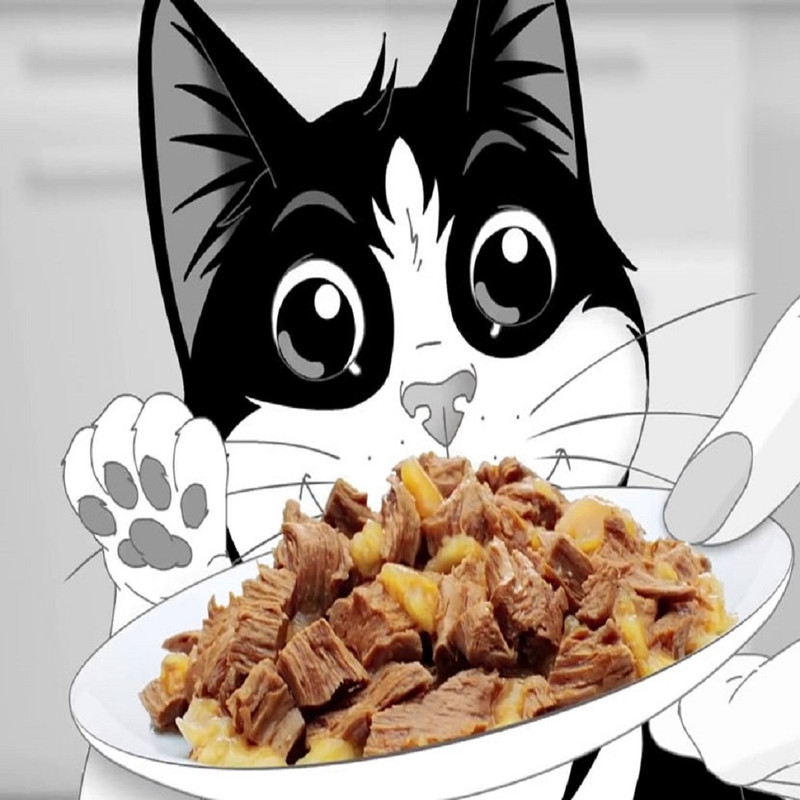 پوچ گربه فلیکس مدل ماهی ساردین و سالمون وزن 85 گرم