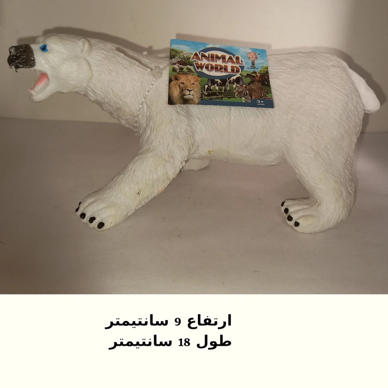 عکس شماره 2