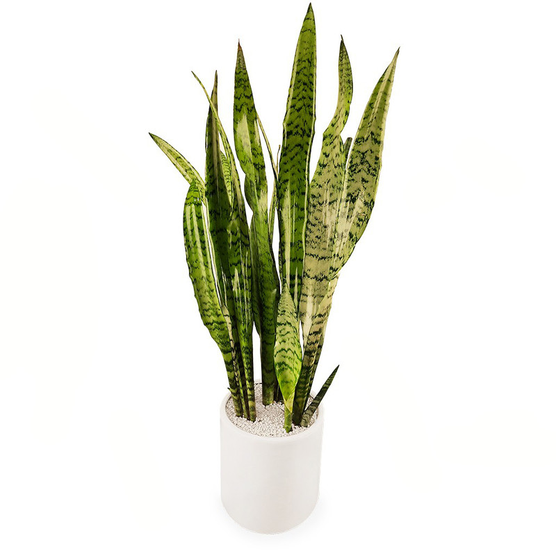 گلدان سانسوریا سبز گلیتال مدل GTL149