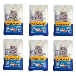 پوچ گربه بالغ یامیکس مدل پک پته طعم گوشت گاو بسته 6 عددی