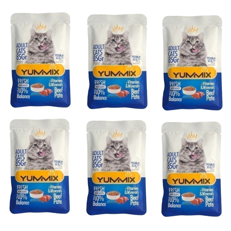 پوچ گربه بالغ یامیکس مدل پک پته طعم گوشت گاو بسته 6 عددی