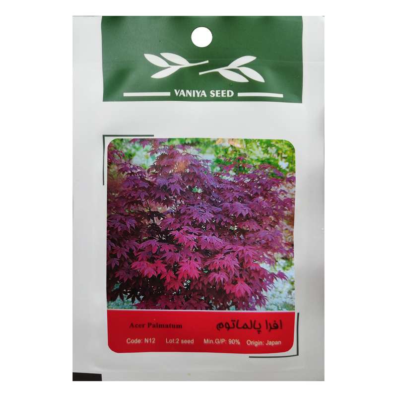 بذر بنسای افرا پالماتوم وانیا سید مدل N12 بذر بنسای افرا پالماتوم وانیا سید مدل N12