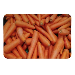 پادری طرح هویج کد 6362 سایز 50 × 70 سانتی متر