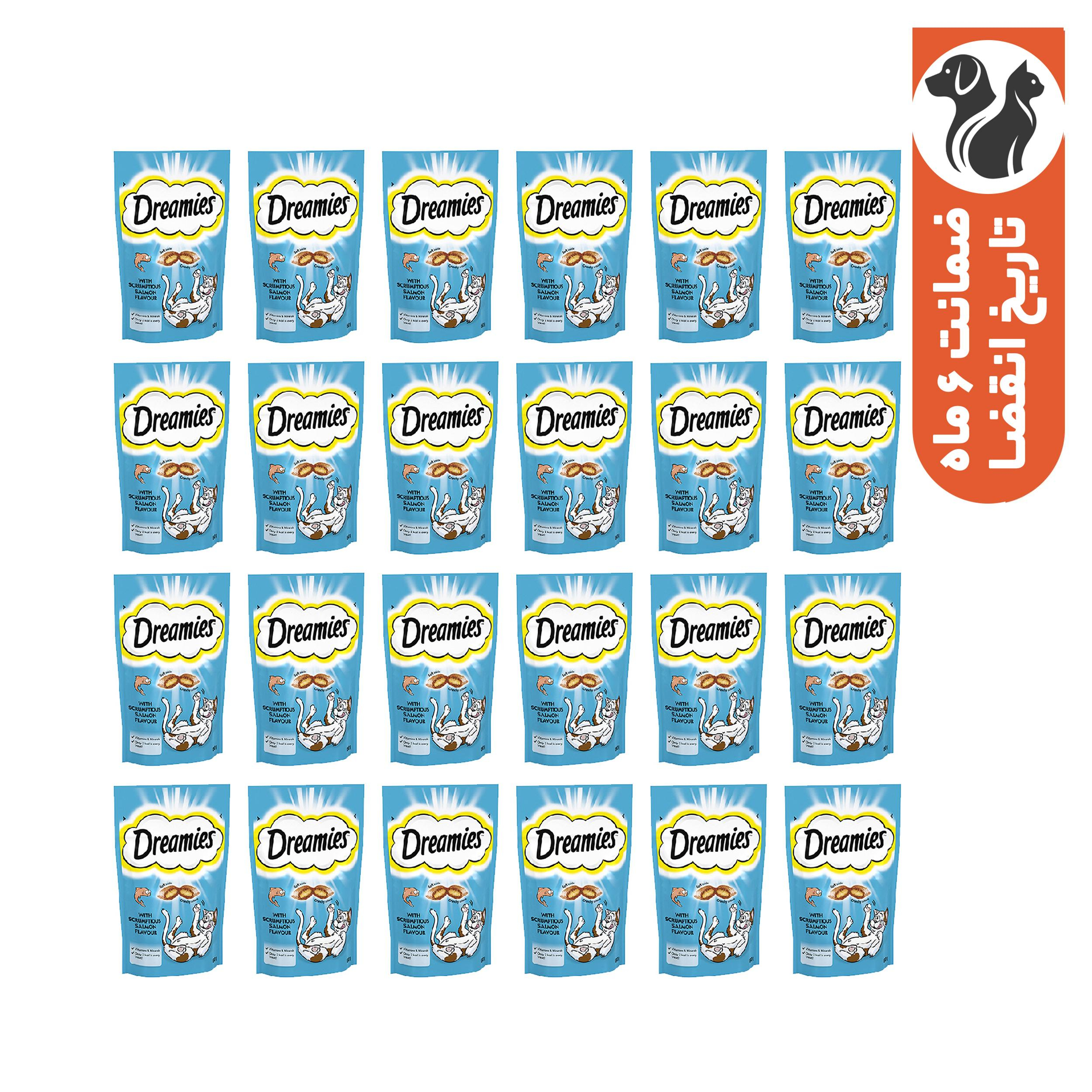 تشویقی گربه دریمیز مدل ماهی سالمون وزن 60 گرم بسته 24 عددی