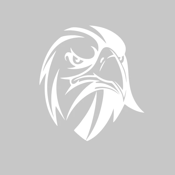 برچسب بدنه خودرو آداک طرح عقاب سه رخ  کد Egls05