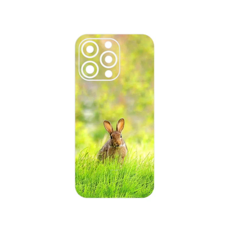 برچسب پوششی ماهوت مدل Rabbit مناسب برای گوشی موبایل اپل iphone 13 Pro