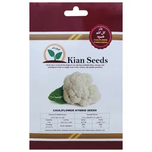  بذر گل کلم هیبرید کیان بذر کد KBZ-31