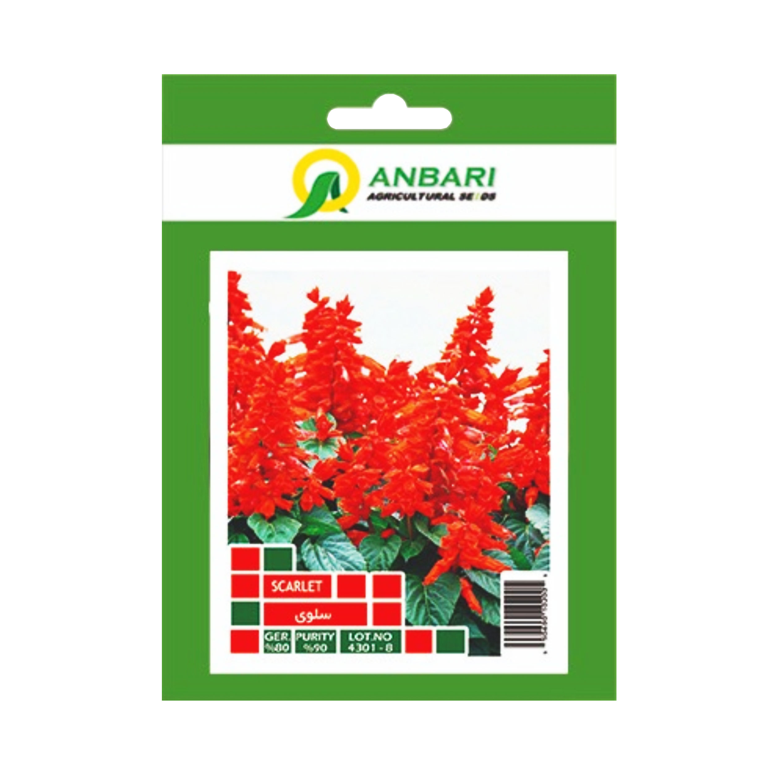 بذر گل سلوی بذر عنبری کد BZA-021