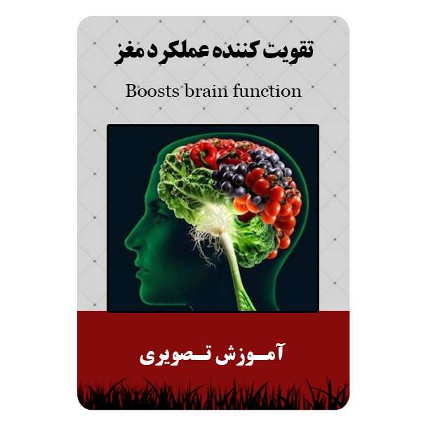 ویدئو آموزشی تقویت کننده عملکرد مغز نشر مبتکران ویدئو آموزشی تقویت کننده عملکرد مغز نشر مبتکران