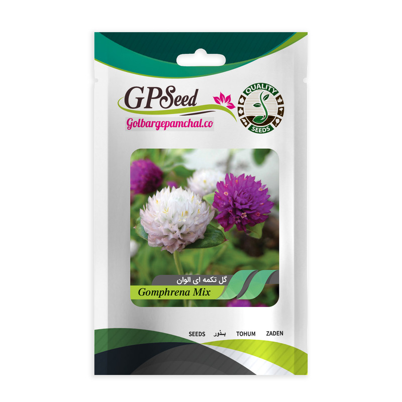 بذر گل تکمه ای گلبرگ پامچال کد GPF-035