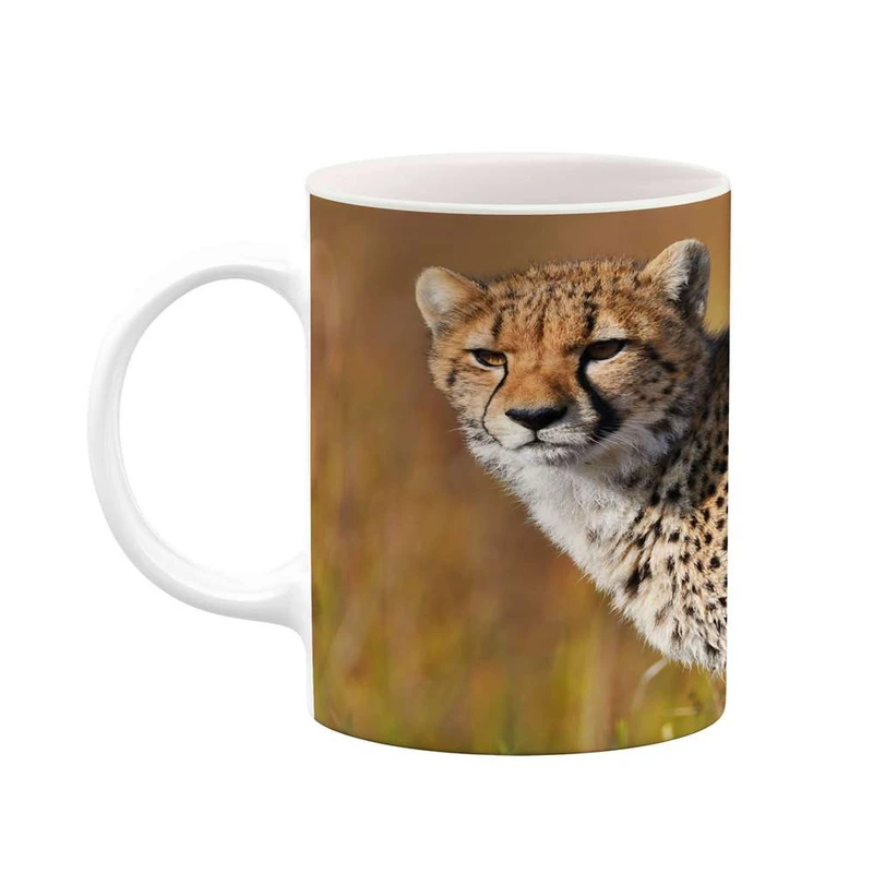 ماگ کاکتی مدل پلنگ کد mgh15898