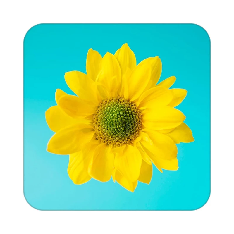 زیر لیوانی کاکتی طرح گل مدل mp16572