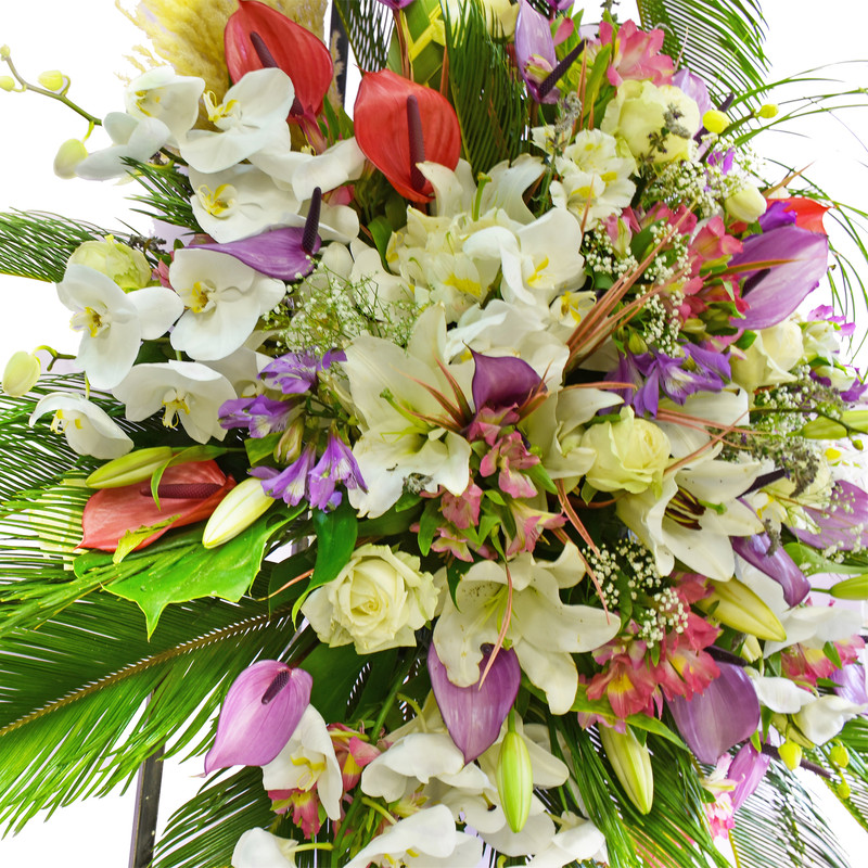 تاج گل مدل P.A.203