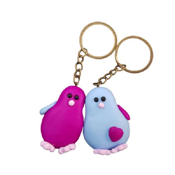 جاکلیدی مدل پرنده مجموعه دو عددی