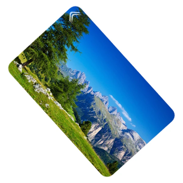 استیکر کارت طرح طبیعت مدل CAC330-K-G1-139