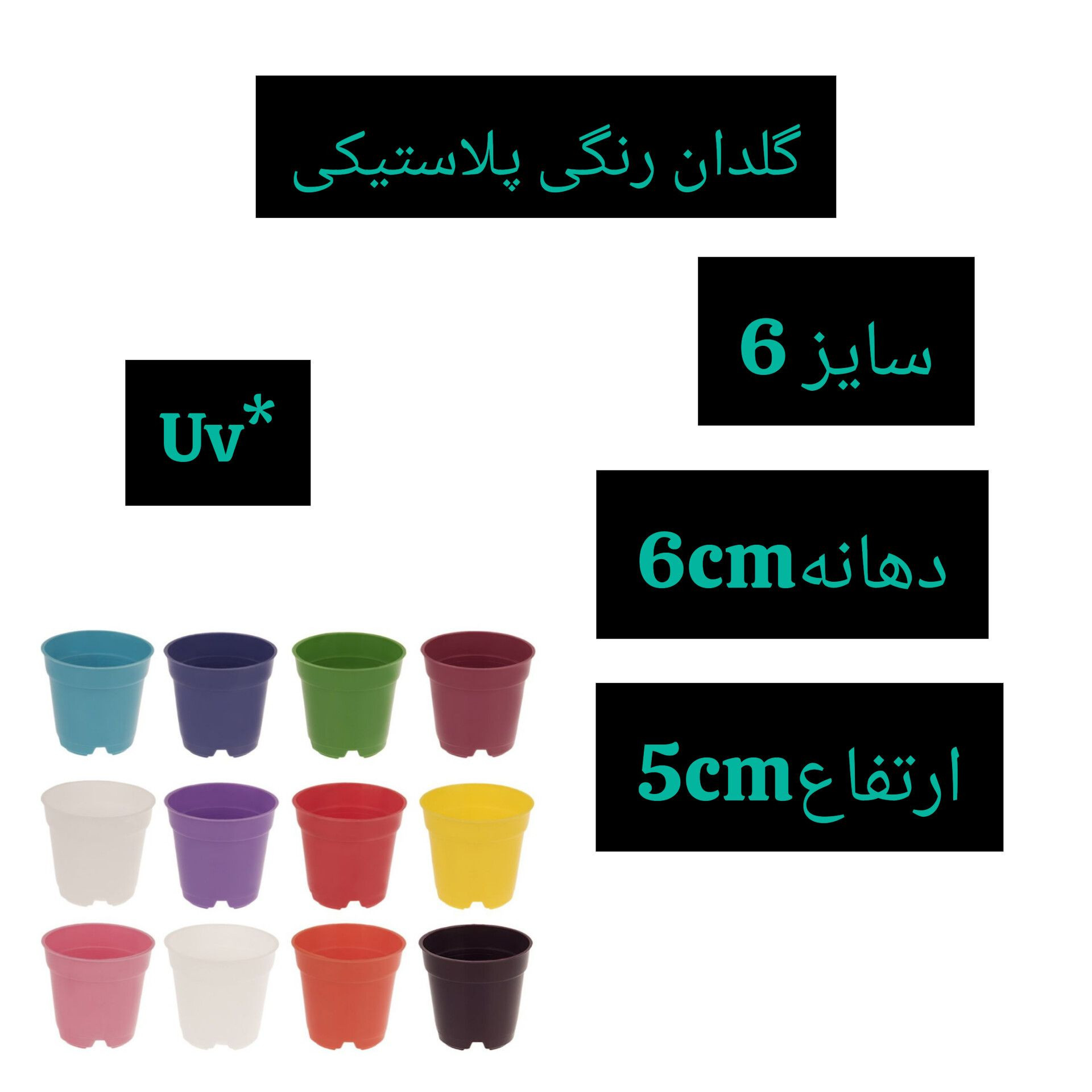 گلدان مدل کاکتوسی 6cm بسته 12 عددی گلدان مدل کاکتوسی 6cm بسته 12 عددی
