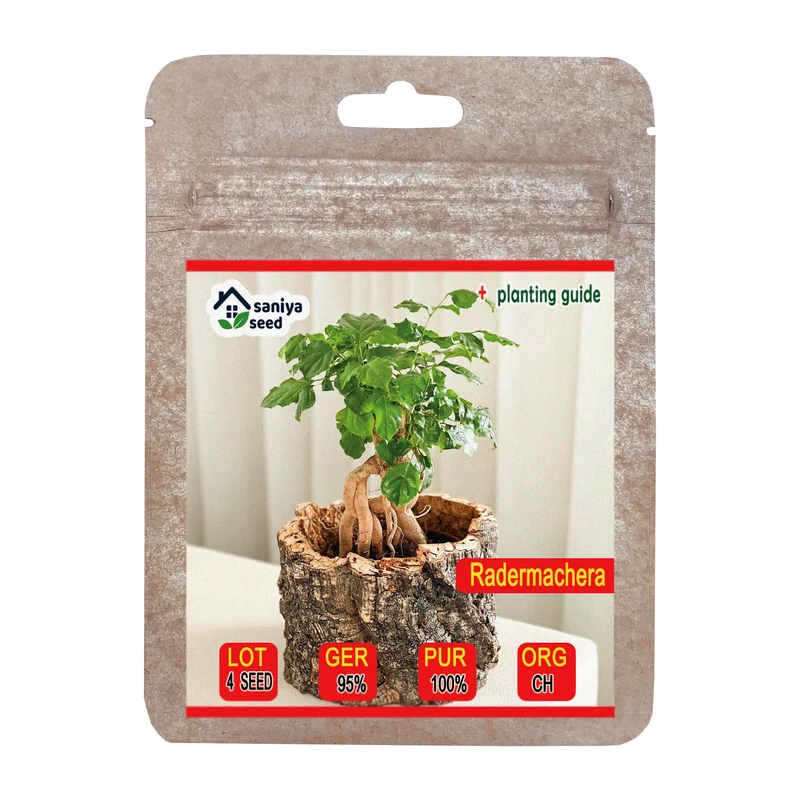 بذر بنسای زمرد یا عروسک چینی سانیا سید مدل S111