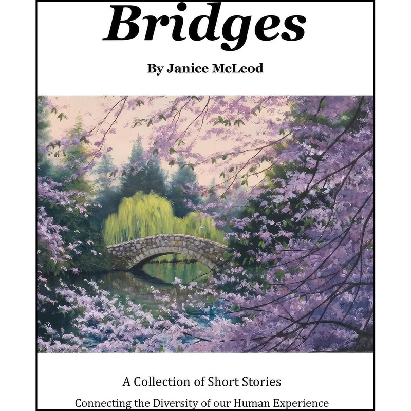کتاب Bridges اثر Janice McLeod انتشارات AuthorHouse