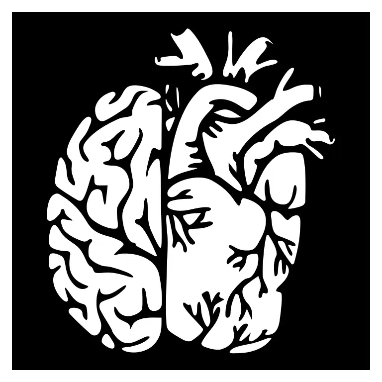 شابلون مدل قلب و مغز کد SP529-2