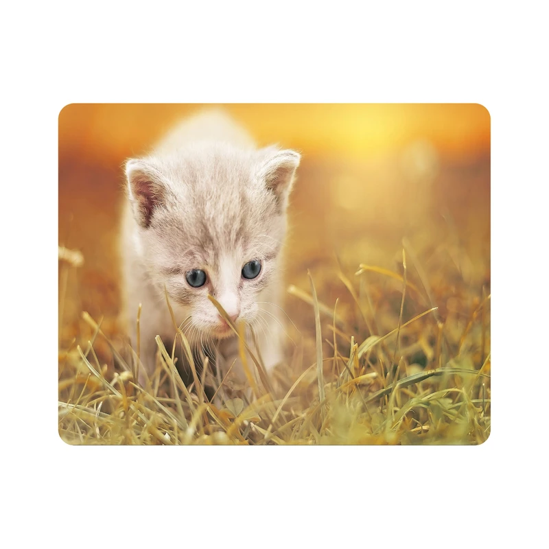 ماوس پد اطلس آبی طرح گربه مدل T5767