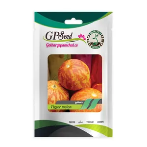 بذر دستنبو گلبرگ پامچال کد GPF-330