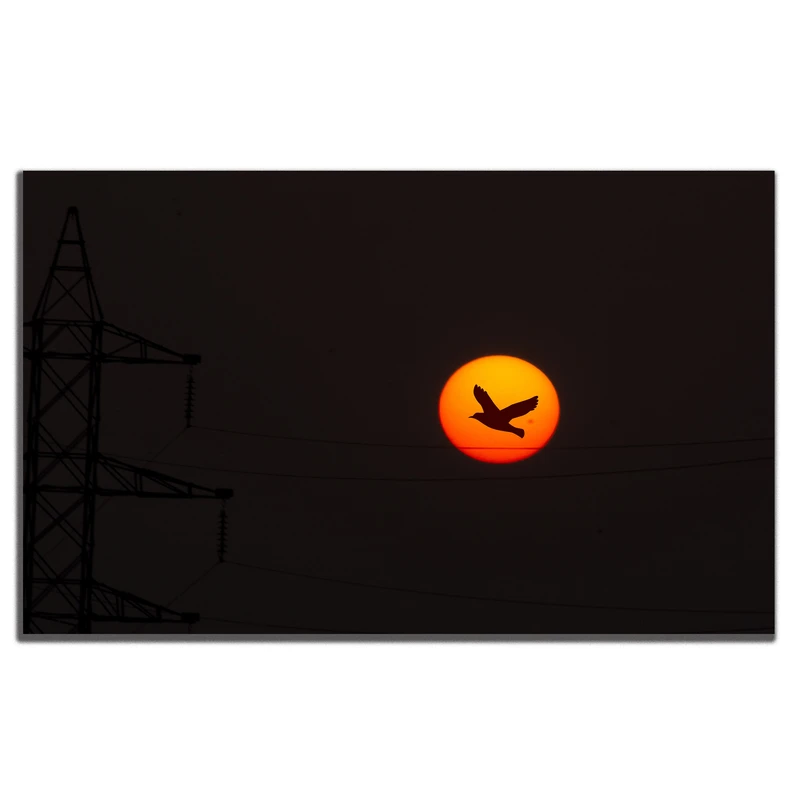 تابلو شاسی بکلیت طرح غروب آفتاب مدل SH-S5095