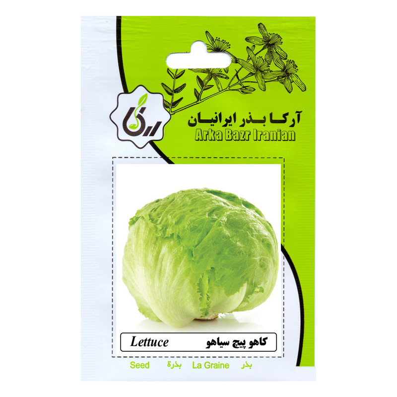بذر کاهو پیچ سیاهو آرکا بذر ایرانیان کد 17-ARK بذر کاهو پیچ سیاهو آرکا بذر ایرانیان کد 17-ARK