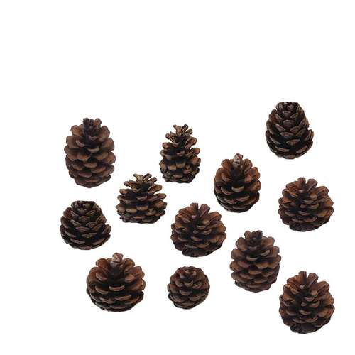 میوه تزیینی مدل کاج 001 بسته 12 عددی