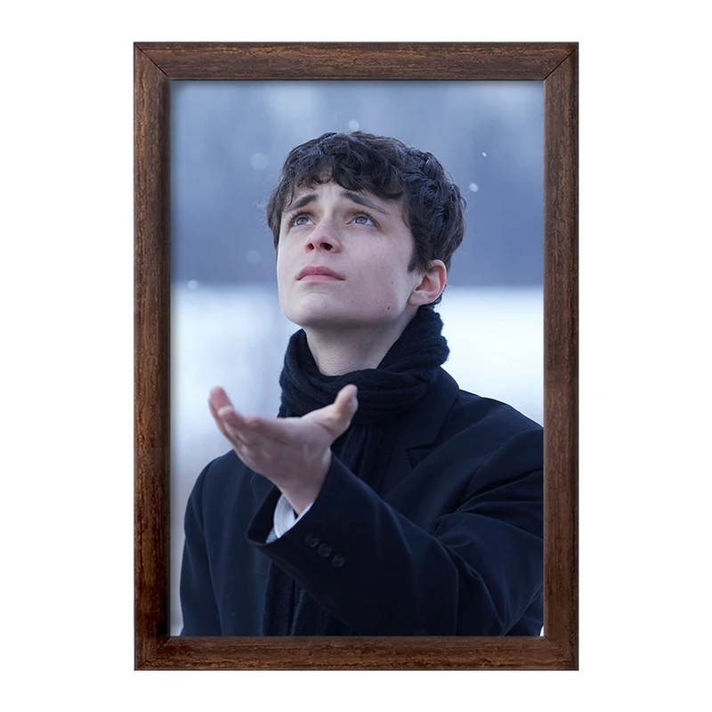 تابلو خندالو طرح گیلبرت سریال آنشرلی کد 28988