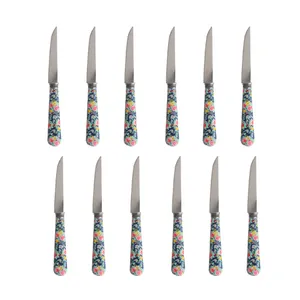 ست کارد  میوه خوری 12 پارچه کد 504