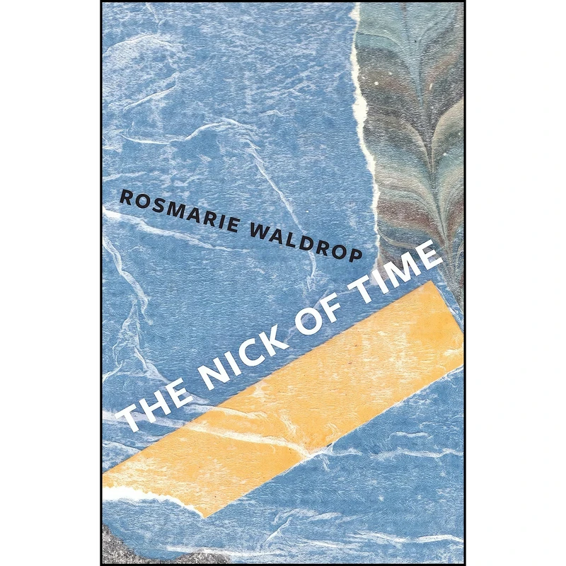 کتاب The Nick of Time اثر Rosmarie Waldrop انتشارات New Directions
