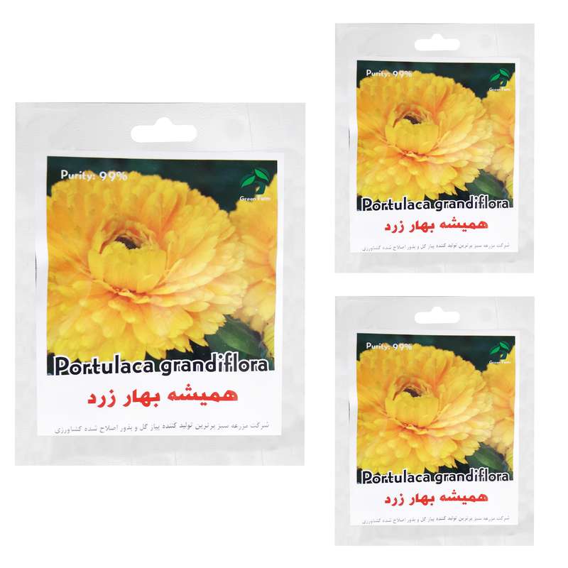 بذر گل همیشه بهار زرد گرین فارم کد 002 بسته 3 عددی