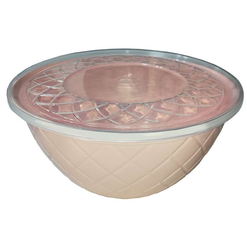 ظرف نگهدارنده مدل آناناس 4L