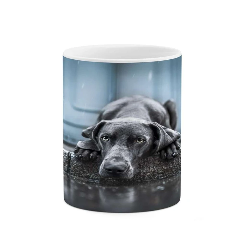 ماگ کاکتی مدل سگ کد mgh16256