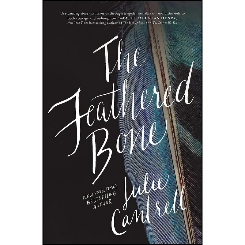 کتاب The Feathered Bone اثر Julie Cantrell انتشارات Thomas Nelson