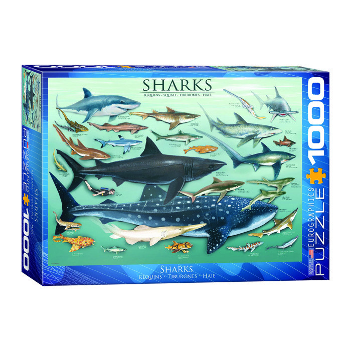 پازل 1000 تکه یوروگرافیکس پازلز مدل Sharks كد 60000079
