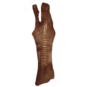 چرم طبیعی مدل ساق شتر مرغ OL033