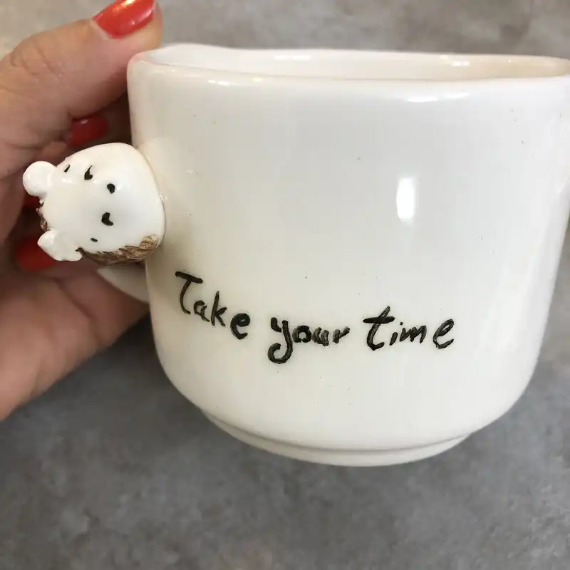 ماگ سرامیکی طرح جوجه تیغی