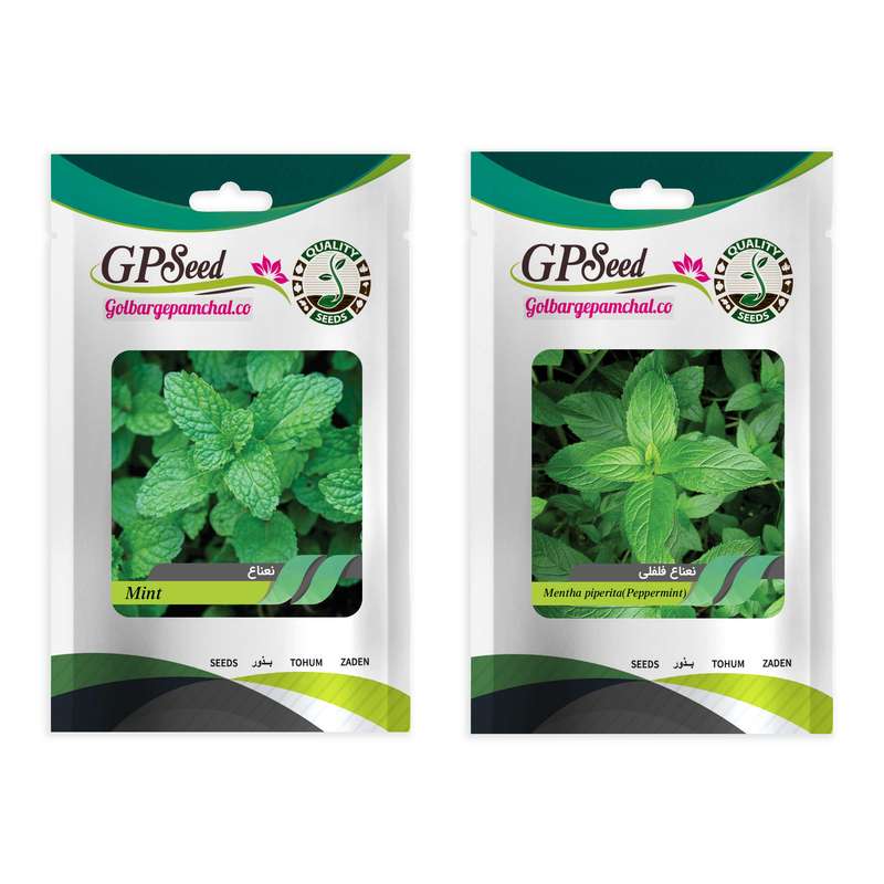 بذر نعناع و نعناع فلفلی گلبرگ پامچال کد GPF-329-278 مجموعه 2 عددی