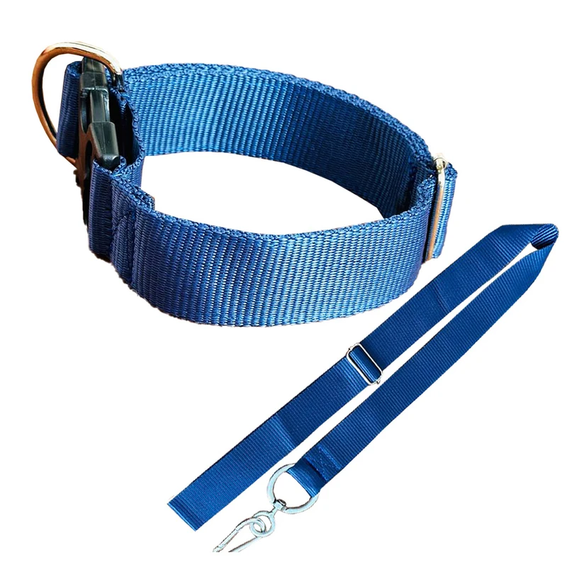 قلاده گردنی و بند قلاده سگ مدل دولایه کد 05 سایز L