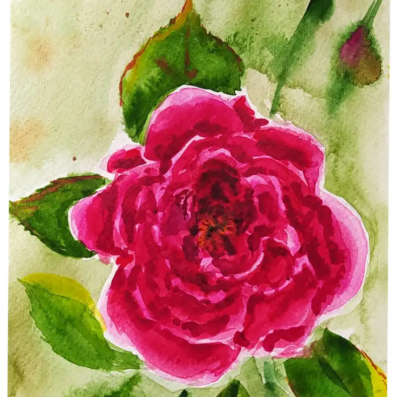 نقاشی آبرنگ طرح گل سرخ