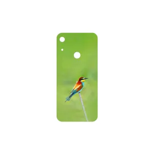 MAHOOT European bee-eater Cover Sticker for Huawei Y6s 2019